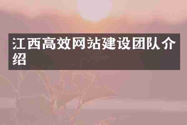 江西高效网站建设团队介绍