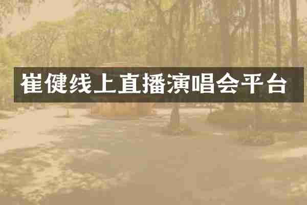 崔健线上直播演唱会平台