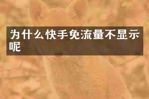 为什么快手免流量不显示呢