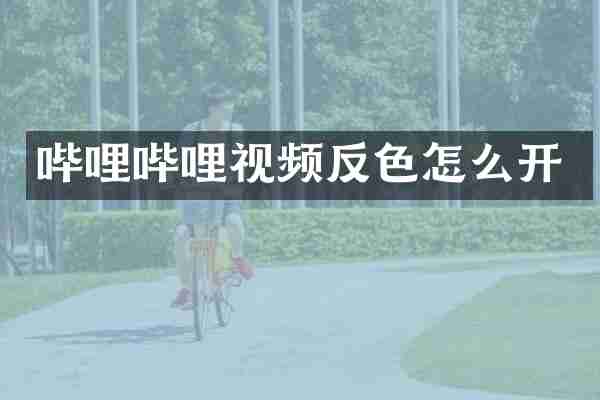 哔哩哔哩视频反色怎么开