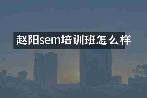 赵阳sem培训班怎么样