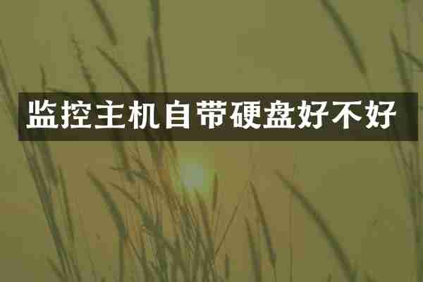监控主机自带硬盘好不好
