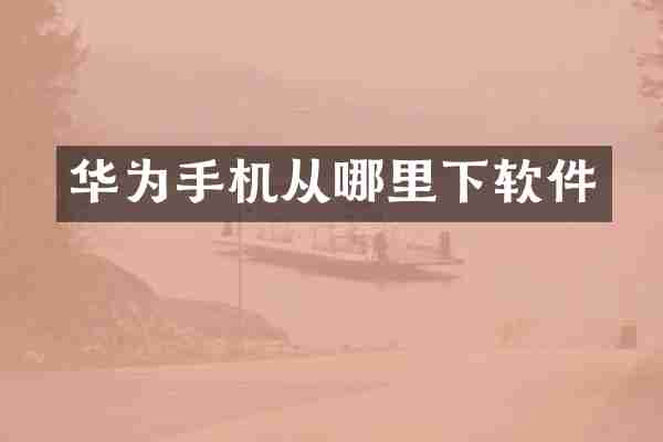 华为手机从哪里下软件