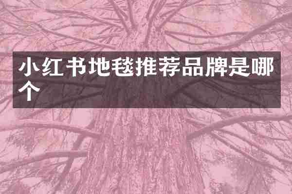 小红书地毯推荐品牌是哪个
