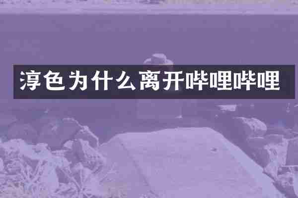 淳色为什么离开哔哩哔哩