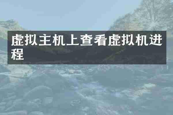 虚拟主机上查看虚拟机进程