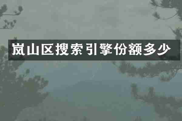 岚山区搜索引擎份额多少