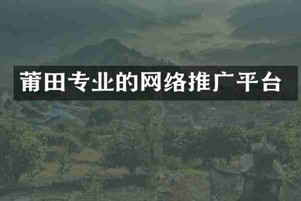 莆田专业的网络推广平台