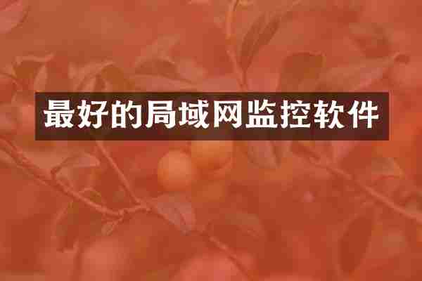 最好的局域网监控软件