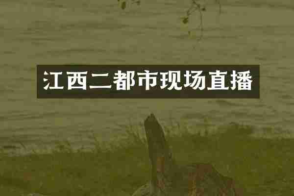 江西二都市现场直播