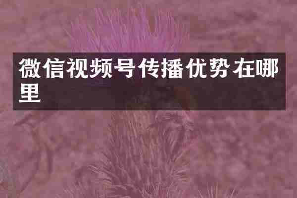 微信视频号传播优势在哪里