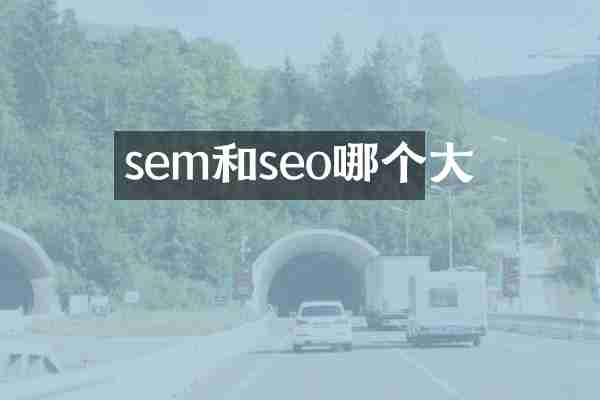 sem和seo哪个大