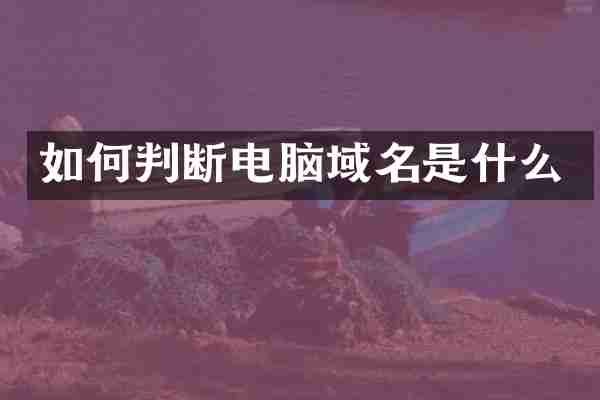 如何判断电脑域名是什么