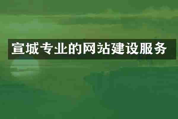 宣城专业的网站建设服务