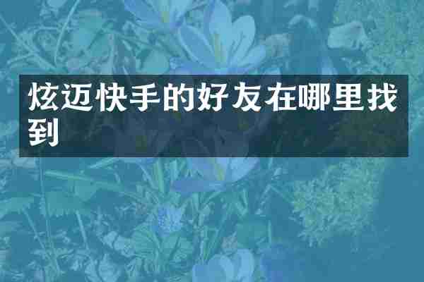 炫迈快手的好友在哪里找到