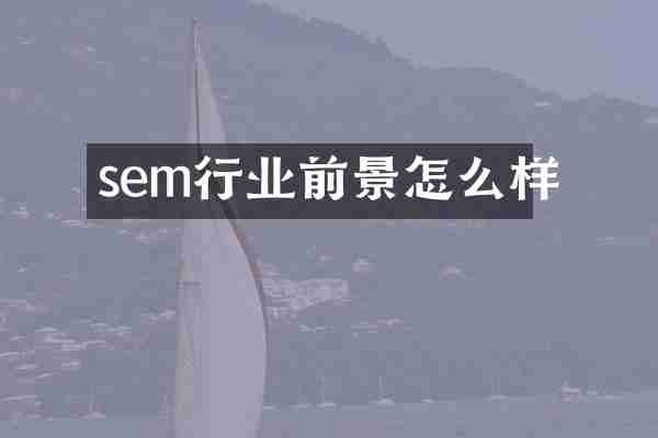 sem行业前景怎么样