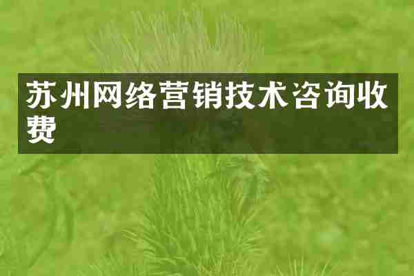 苏州网络营销技术咨询收费