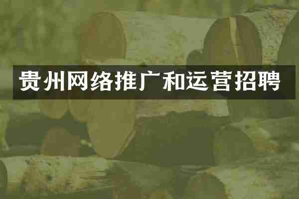 贵州网络推广和运营招聘