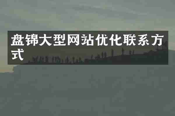盘锦大型网站优化联系方式