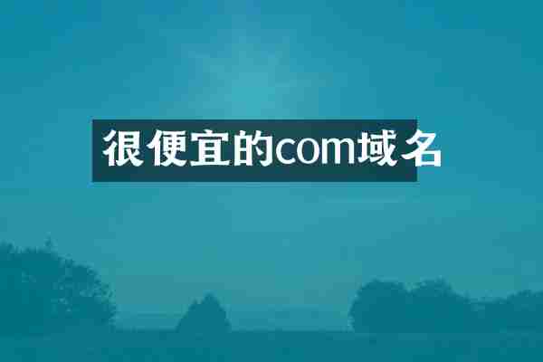 很便宜的com域名