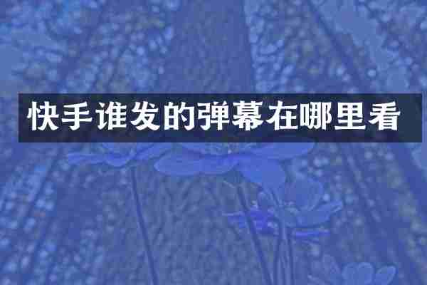 快手谁发的弹幕在哪里看