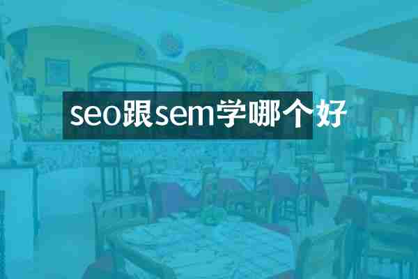 seo跟sem学哪个好