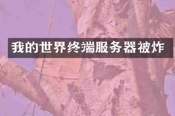 我的世界终端服务器被炸