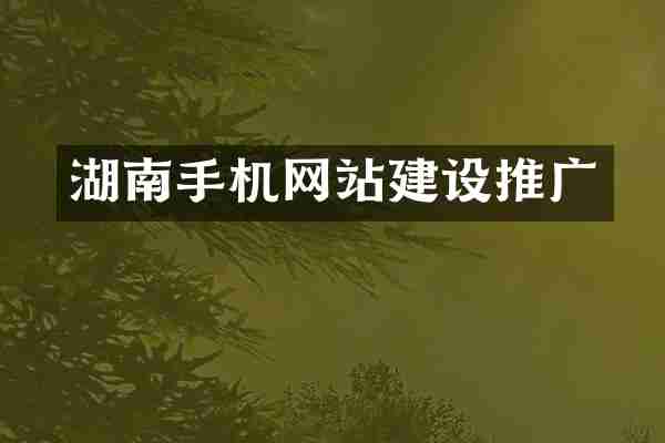 湖南手机网站建设推广