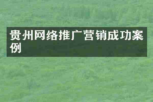 贵州网络推广营销成功案例