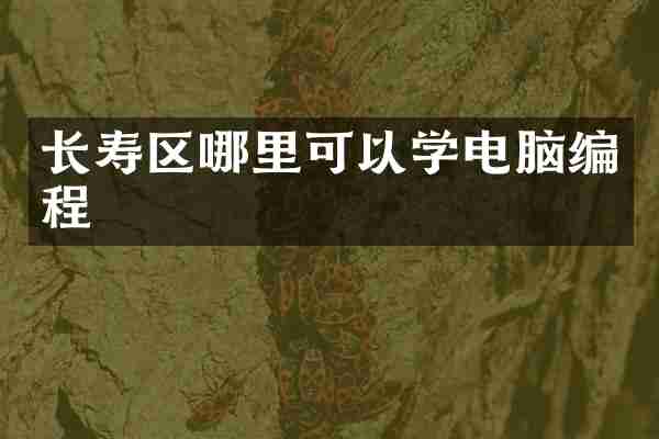 长寿区哪里可以学电脑编程