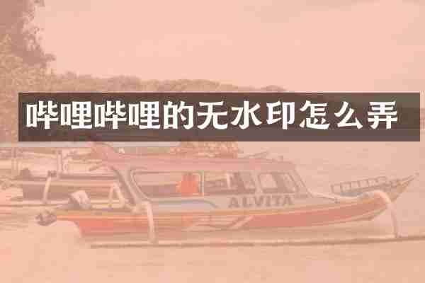 哔哩哔哩的无水印怎么弄