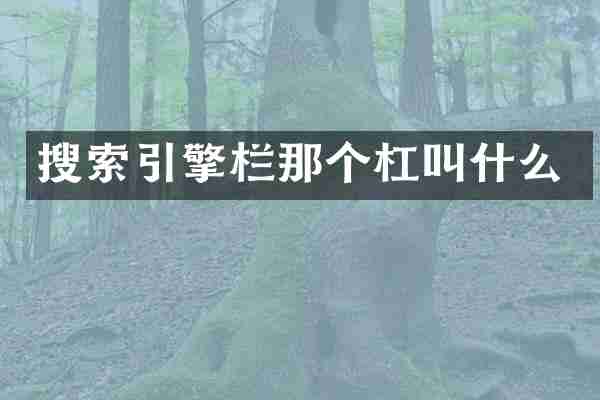 搜索引擎栏那个杠叫什么