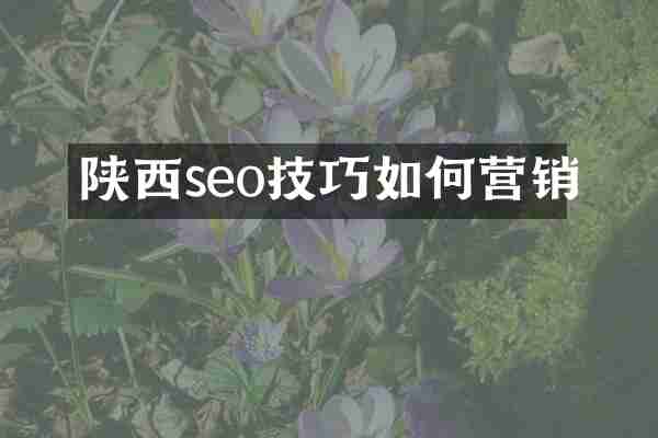 陕西seo技巧如何营销