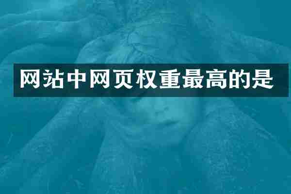 网站中网页权重最高的是