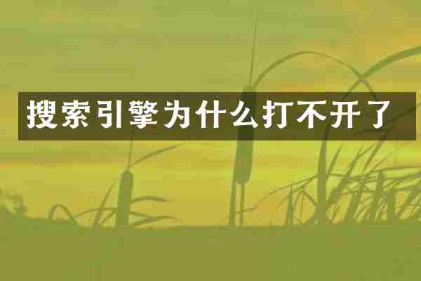 搜索引擎为什么打不开了
