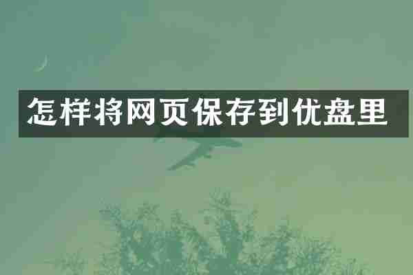 怎样将网页保存到优盘里