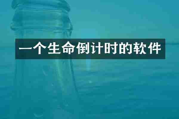 一个生命倒计时的软件