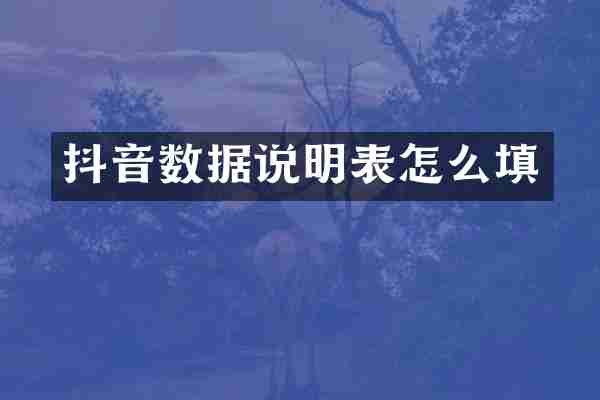 抖音数据说明表怎么填