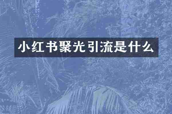 小红书聚光引流是什么