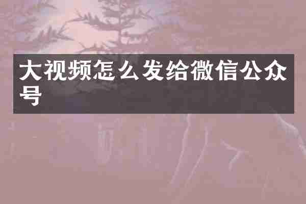大视频怎么发给微信公众号