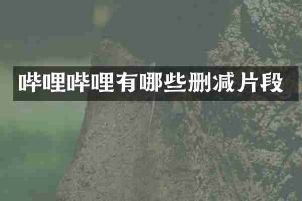 哔哩哔哩有哪些删减片段
