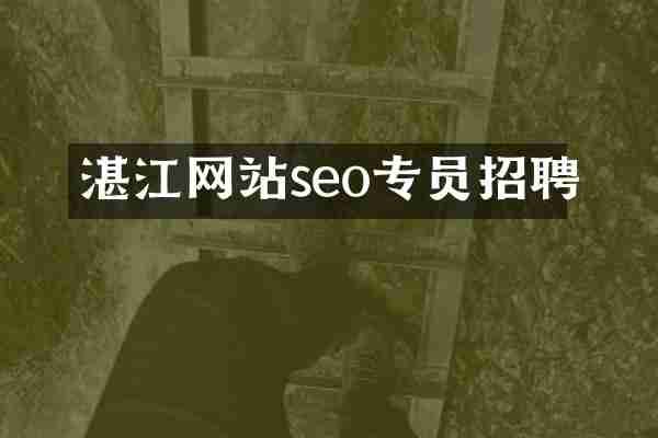 湛江网站seo专员招聘