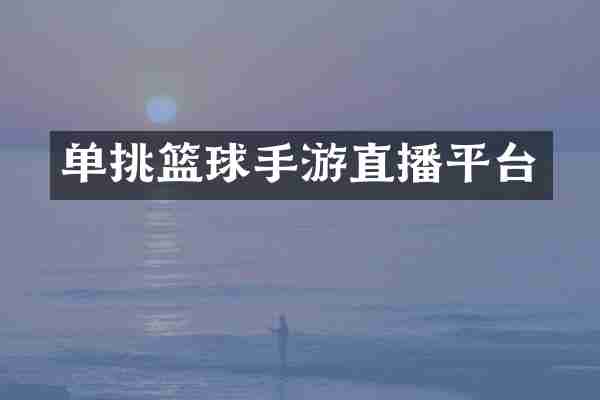单挑篮球手游直播平台