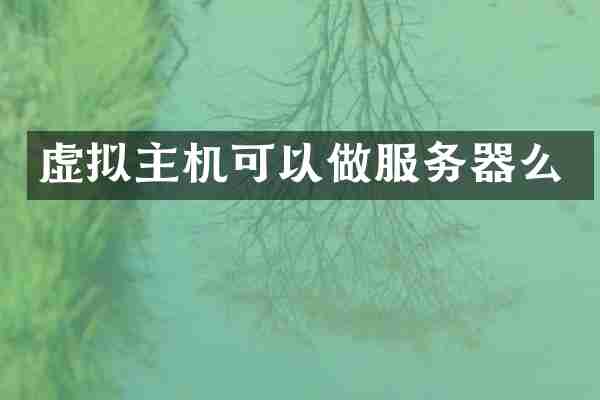 虚拟主机可以做服务器么