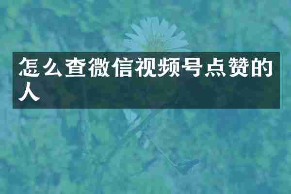 怎么查微信视频号点赞的人