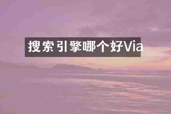 搜索引擎哪个好Via
