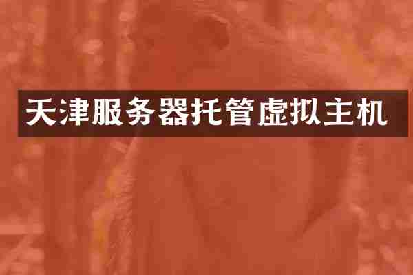 天津服务器托管虚拟主机
