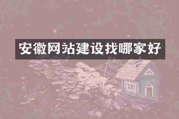 安徽网站建设找哪家好