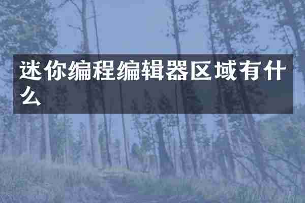 迷你编程编辑器区域有什么