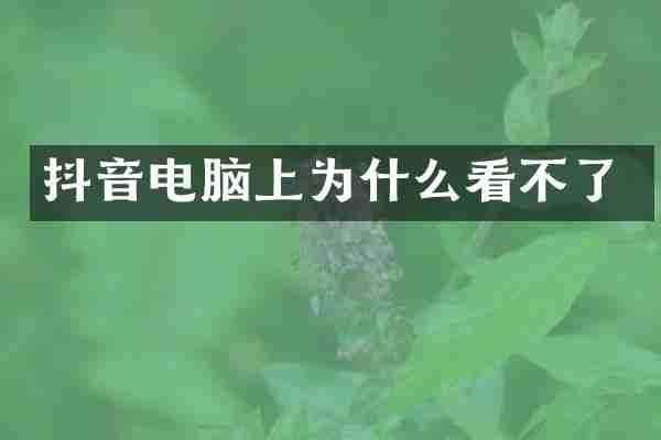 抖音电脑上为什么看不了